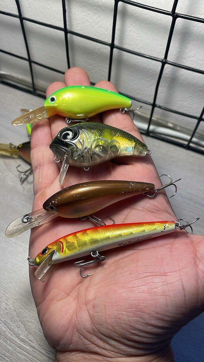 29.JAPAN GREEN PLUG 6.5cm 10.4
30.BIOVEX USA AMP WAKE 6cm 15.2g
31.B.H. Shad DR 7.5cm 8.6g
32.The