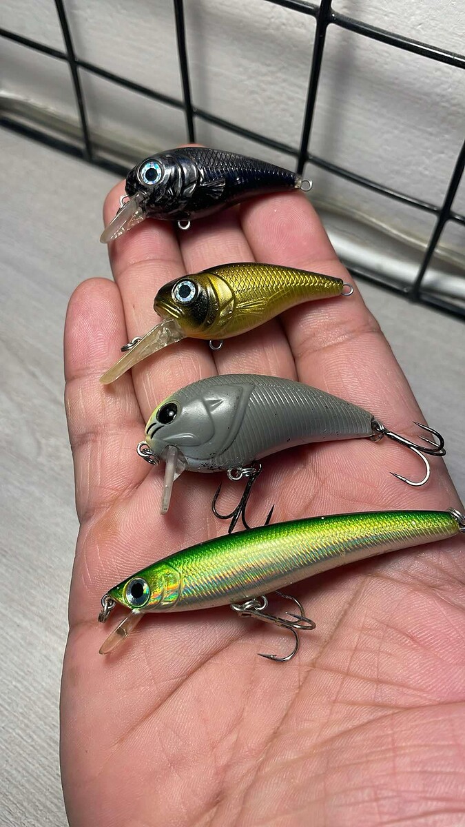 37.Daiso Crank 4.5cm 4.1g
38.Daiso Crank Deep 5cm 4.4g
39.Gamakatsu Vinter Jr. SSR-50 5cm 6.5g
40