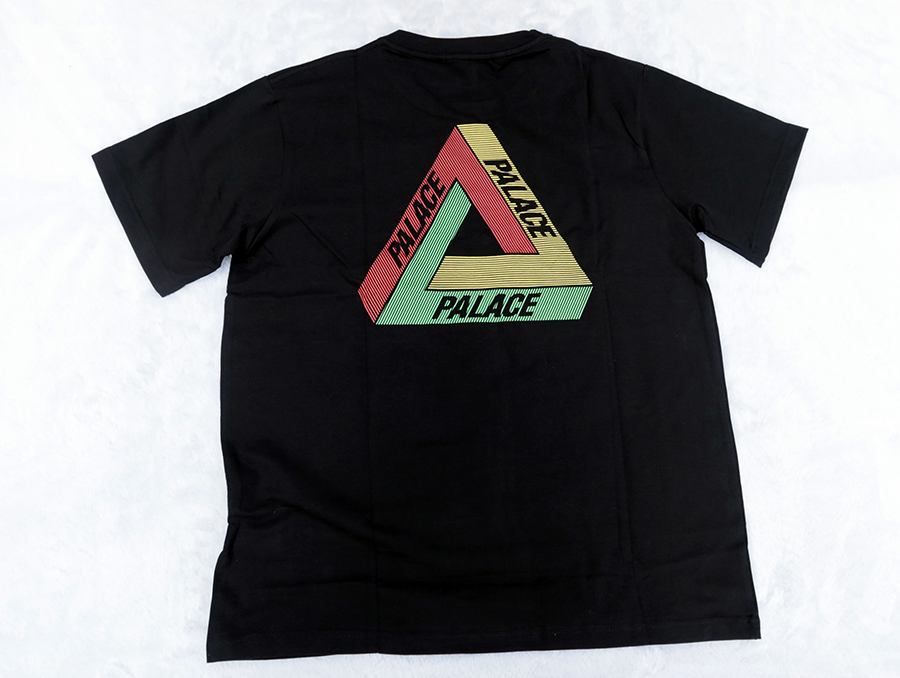 ARC'TERYX PALACE Tri