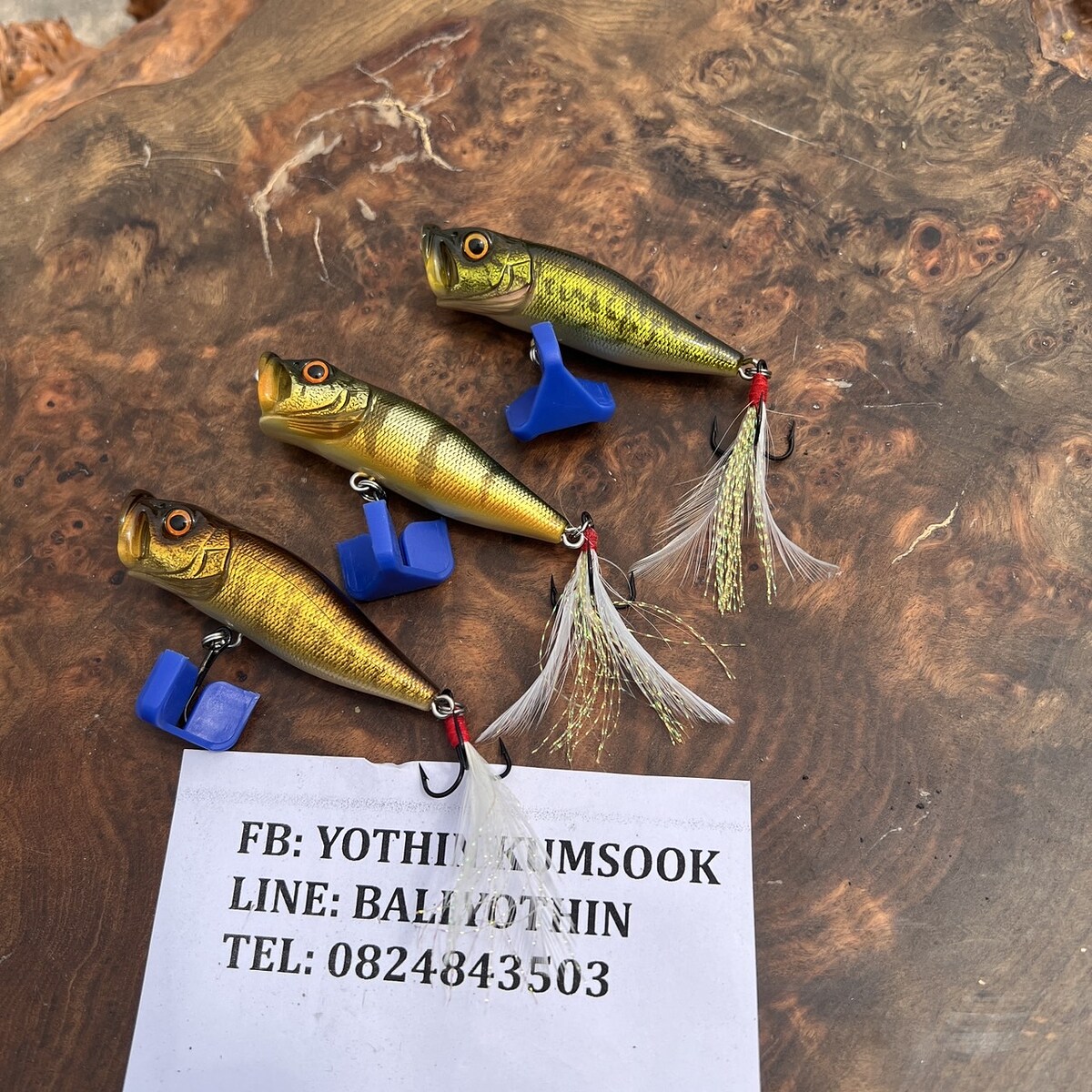 Megabass pop-x เหมือนใหม่