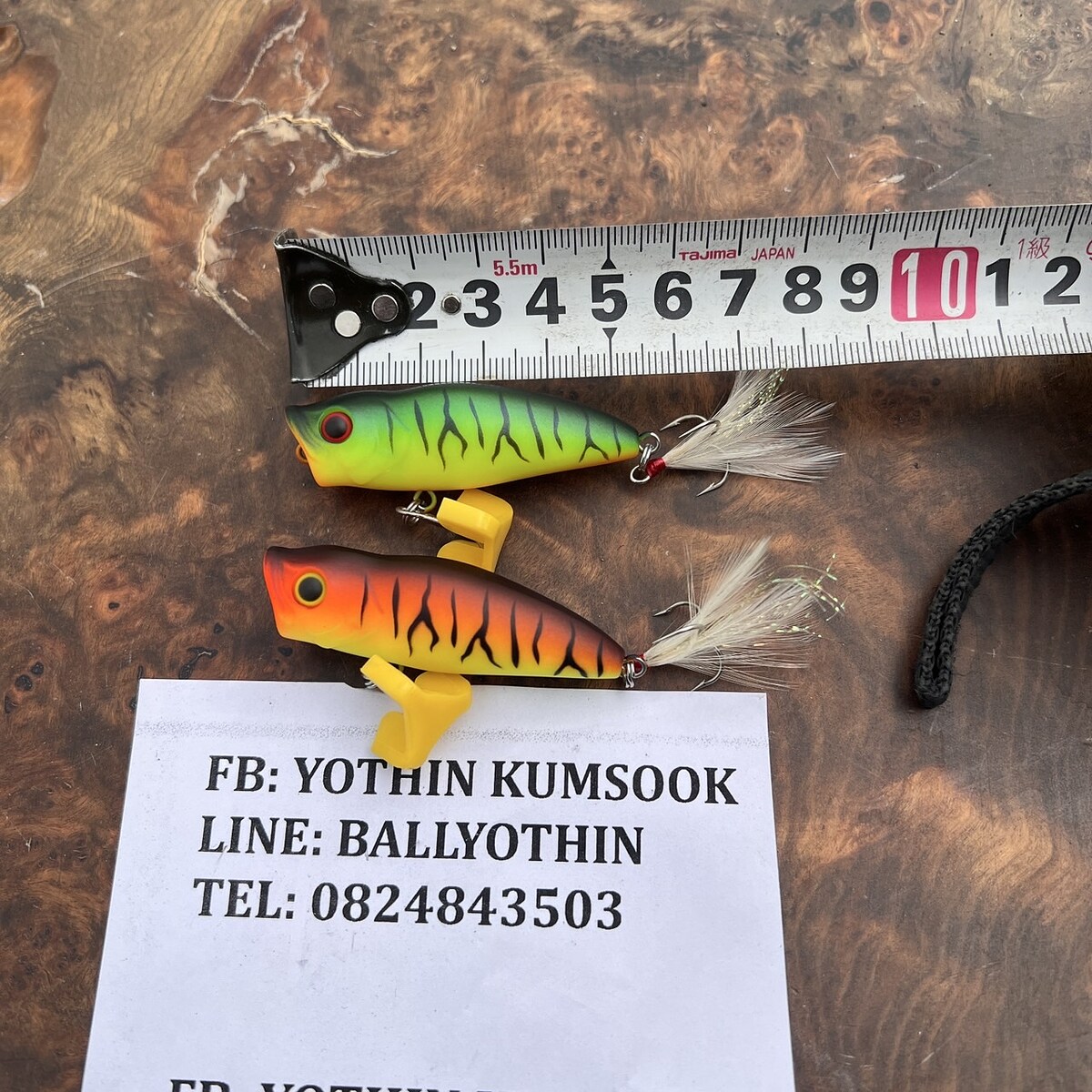 EVERGREEN COMBAT POPPER 