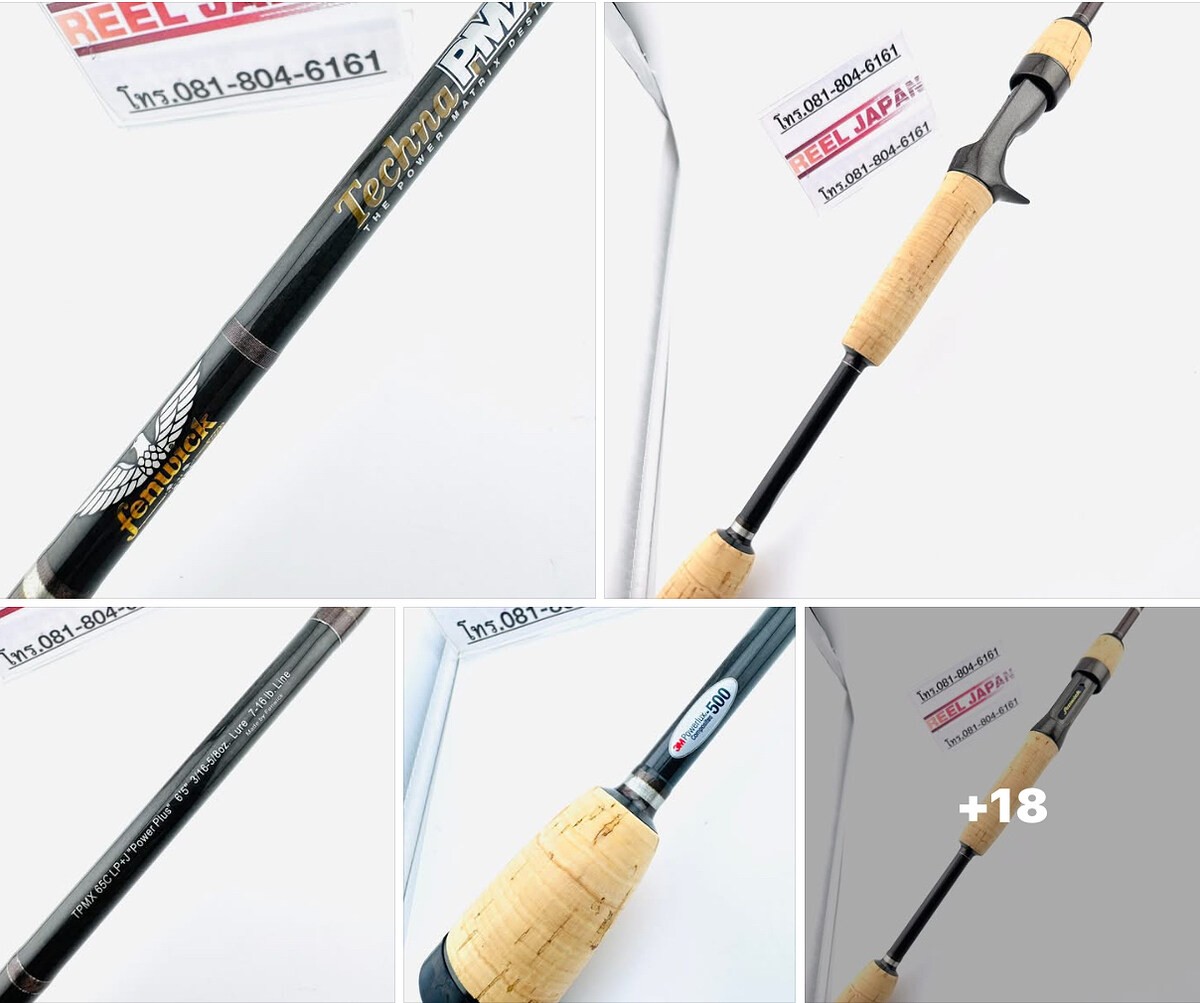 เบท Fenwick Techna PMX 65C LP+J 7-16lb.