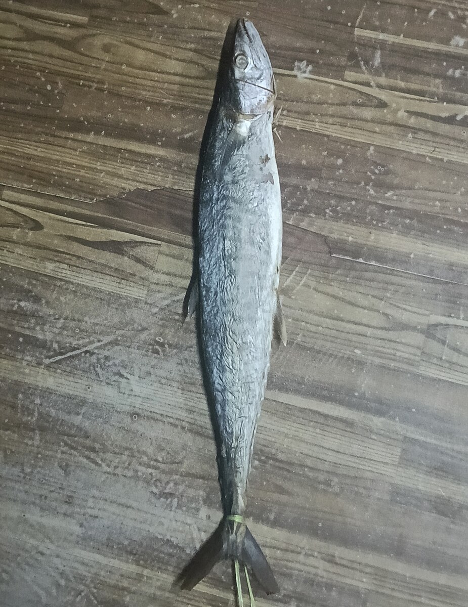 1.2กก
