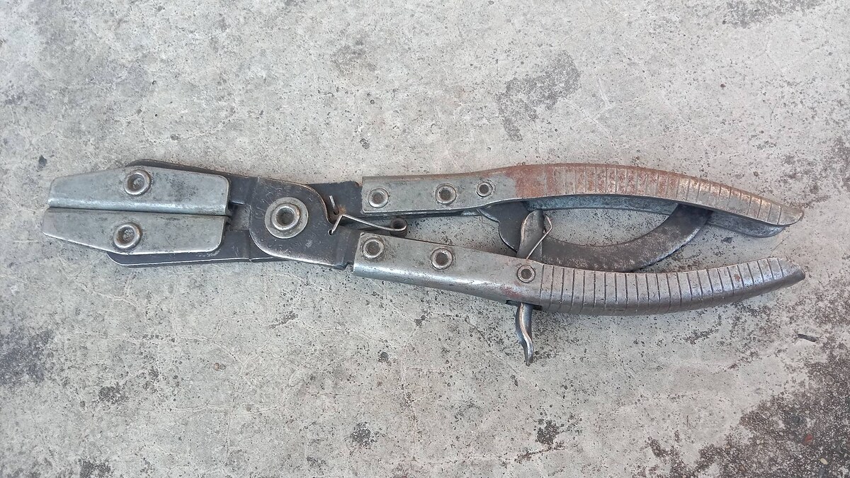 .
