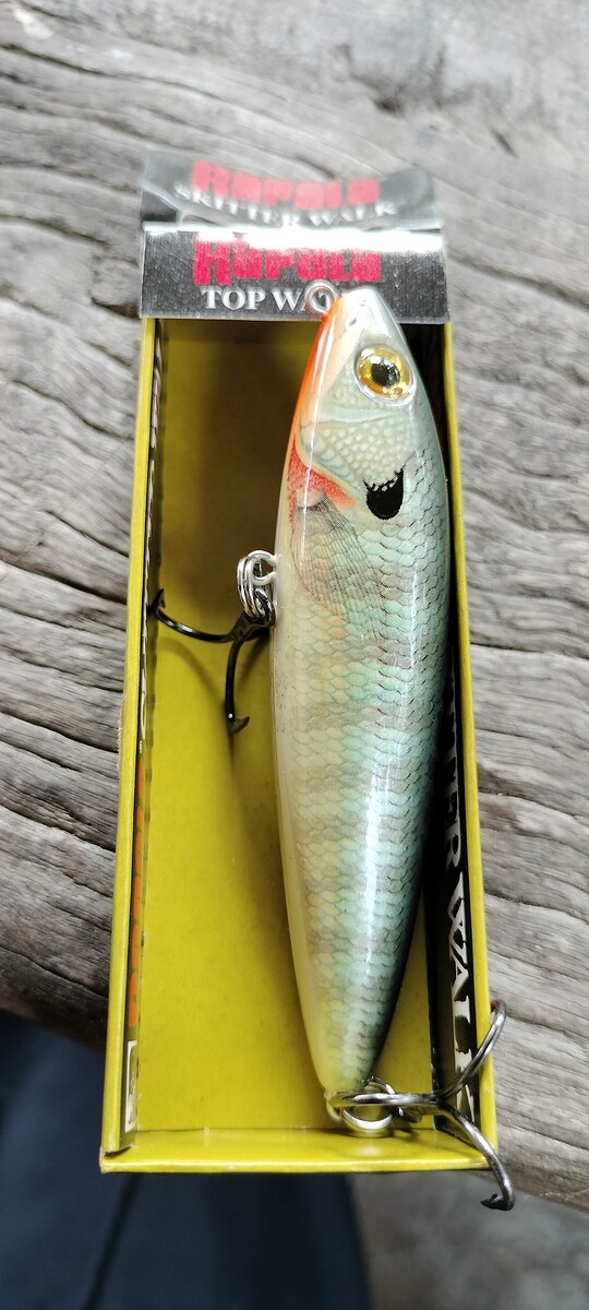 Rapala skitter walk sw-8
