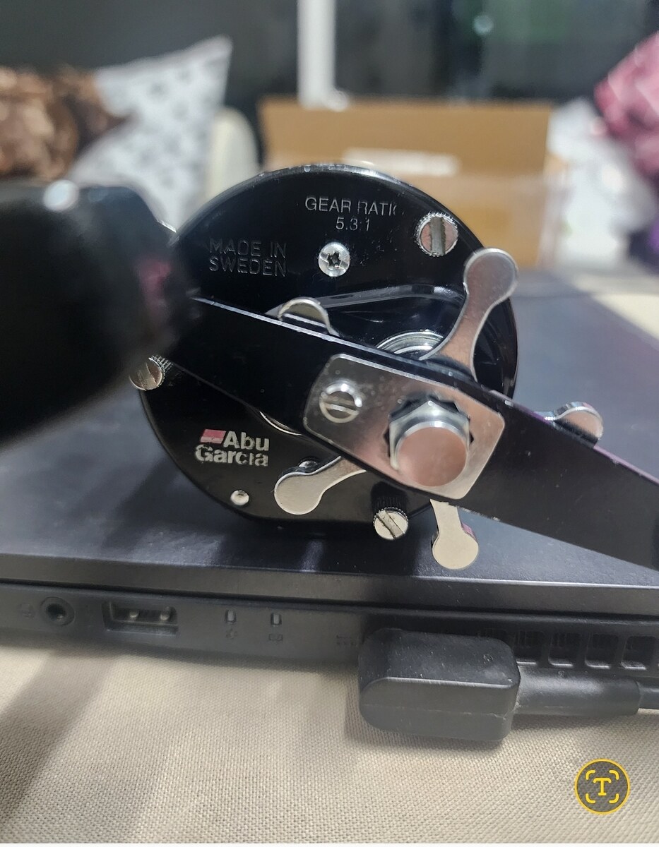 ABU BIGGAME 6500