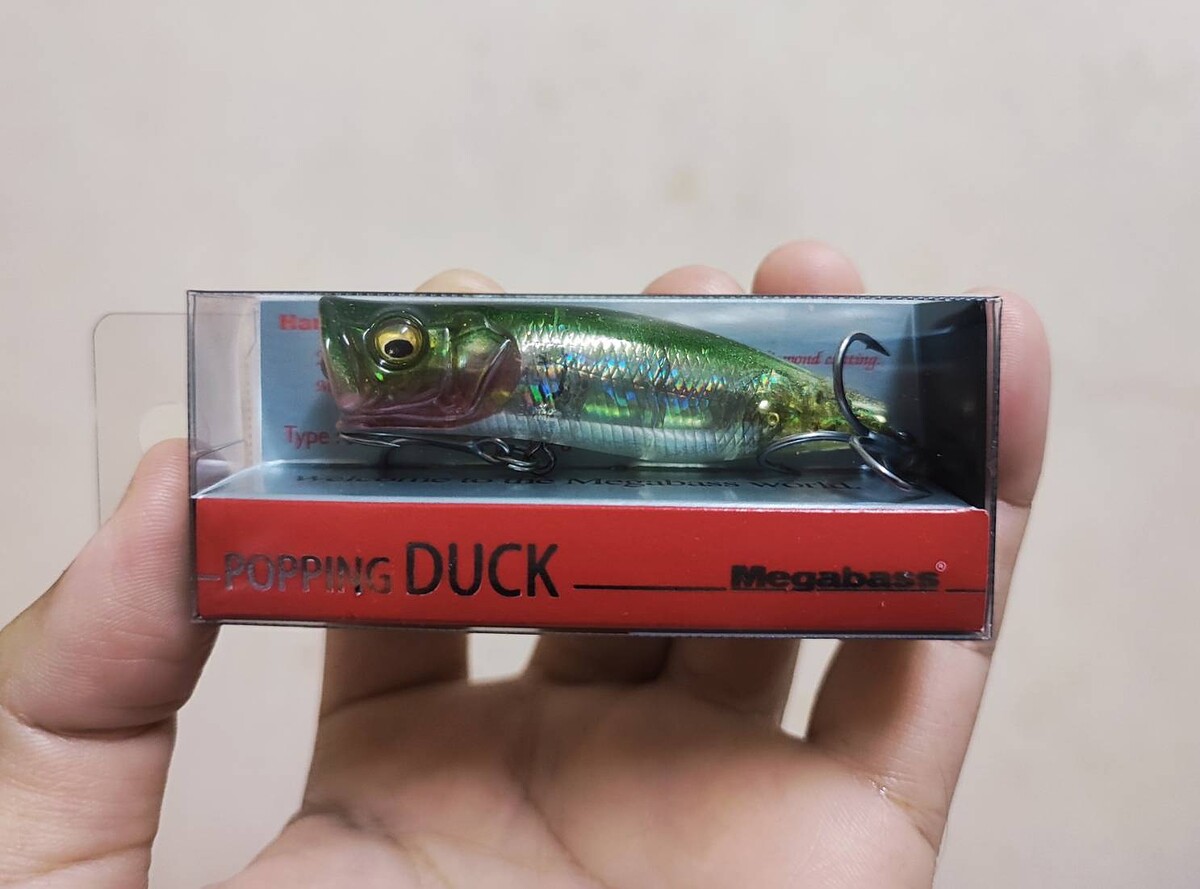 Megabass Popping Duck สีแตงโม