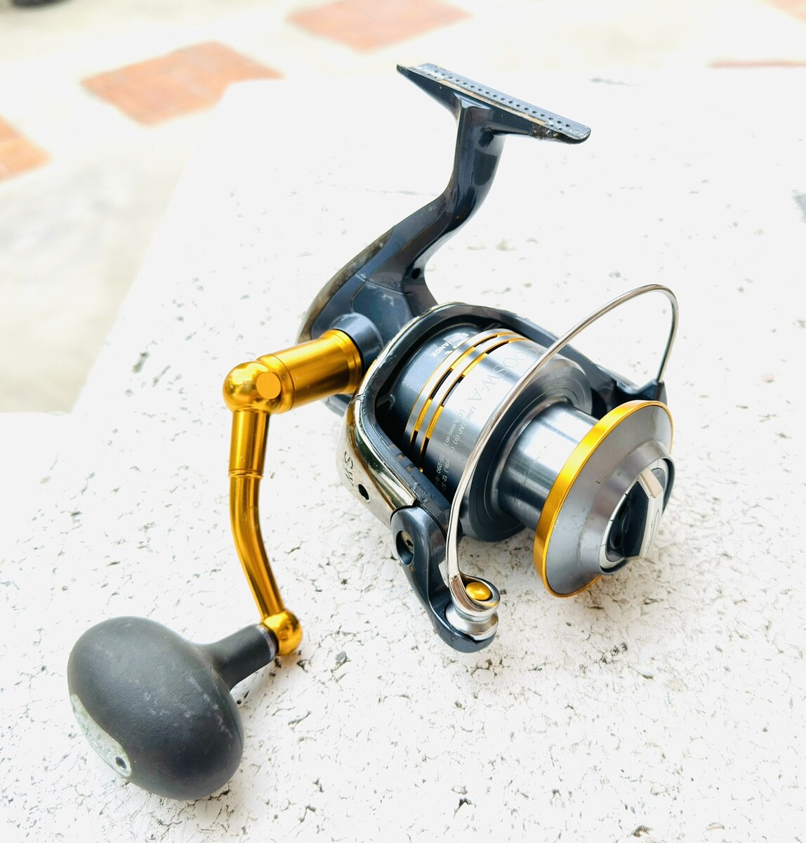 รอกสปิน..Shimano TwinPower SW8000