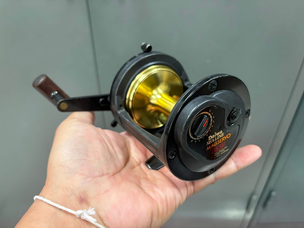 Daiwa sealine Magservo SS50