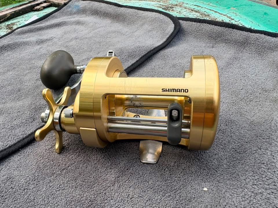 Shimano Calcutta 700