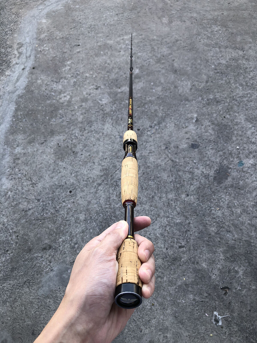Fenwick GOLDEN WING TOUR EDITION GWT 70C H J