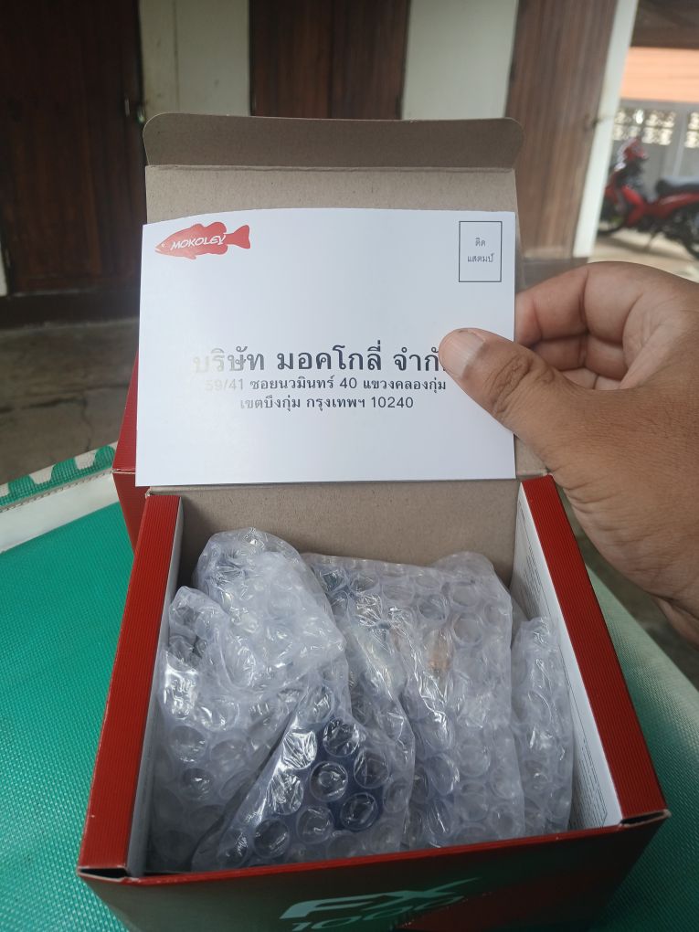 ไหม่ๆครีบ