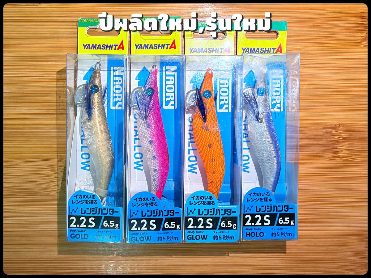 รุ่นใหม่สีนิยมและ Action นิยม