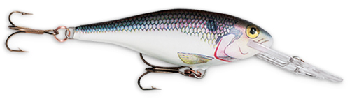 Rapala Shad Rap