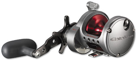 Daiwa Catalina