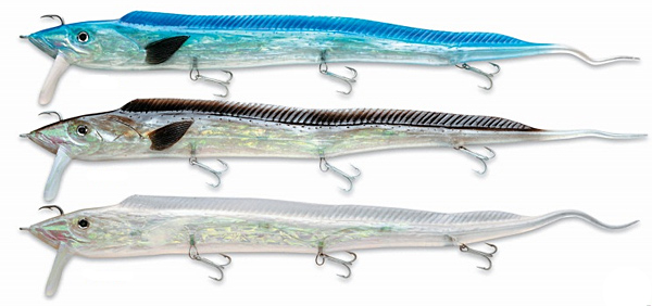 Williamson Live Ribbonfish