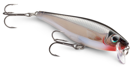 Rapala BX Minnow