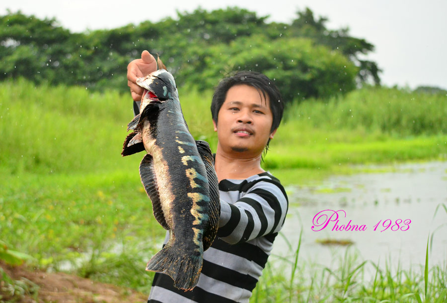 สายฝนกำลังตกปอยๆ  ต้องอย่างนี้ซิครับ  กัดกระจาย   :laughing: :laughing: :laughing: :laughing: