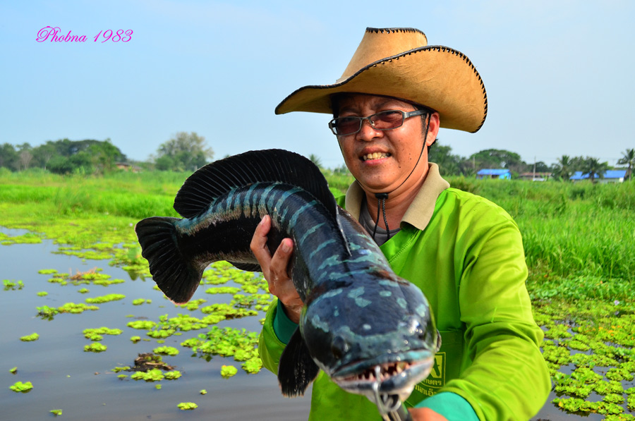 จัดไปคร๊าบบบบ