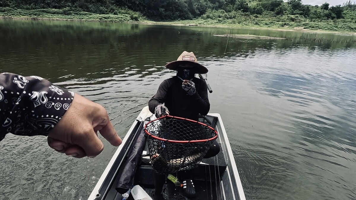 มันพยายามสู้ มุดลงข้างเรือ แต่ไม่นานก็หมดแรง
พี่ต้อมตักเข้าสวิงเรียบร้อย มาอีกตัวแล้วกับช่อนใหญ่ 
