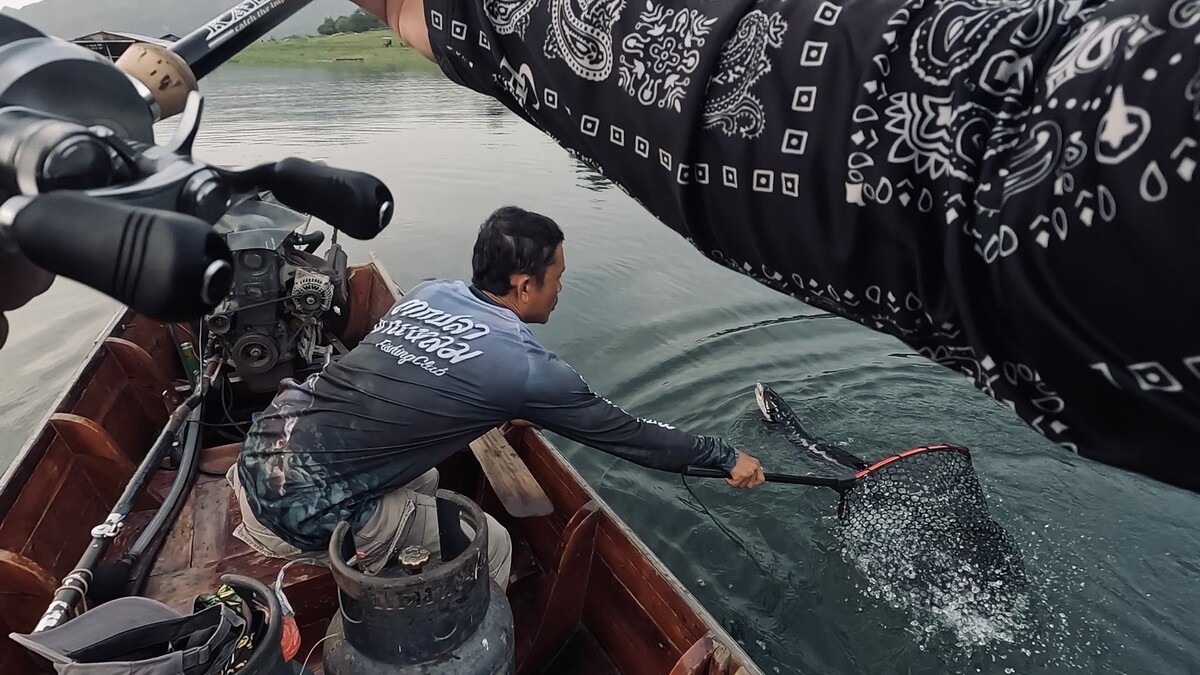 มันพยายามจะมุดลงใต้เรือแต่ก็ไปไหนไม่ได้
ไต๋กุ้งพยายามใช้สวิงตักมันแต่มันก็ดิ้นหนีไปมา
ไม่ยอมให้เข้