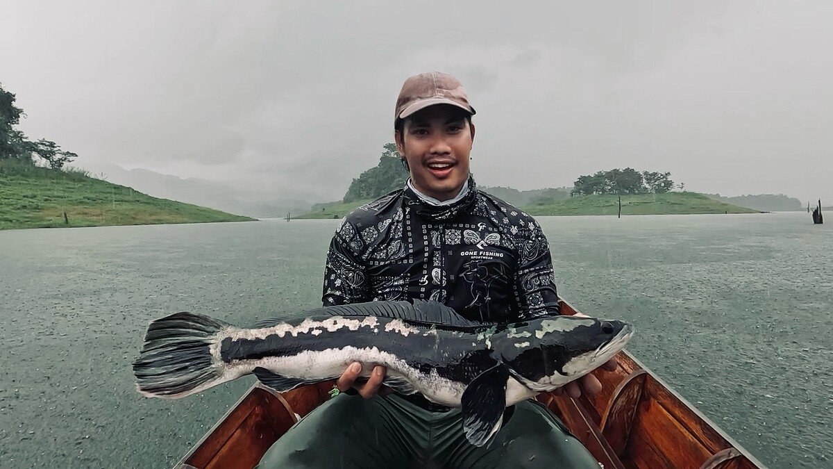 ปลาชะโดตัวที่ 2 ของผมในวันนี้ พิกัดน่าจะราวๆ 5 KG
และเป็นการปิดฉากเกมส์ของวันนี้ไปในตัว
เพราะทันที