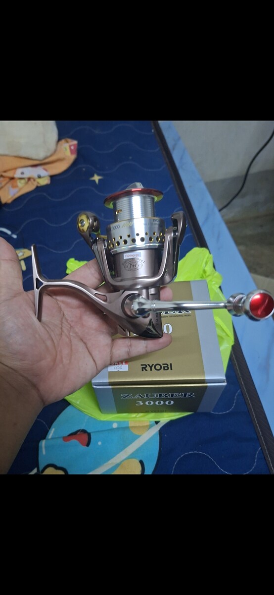 รอก Ryobi Zauber 3000