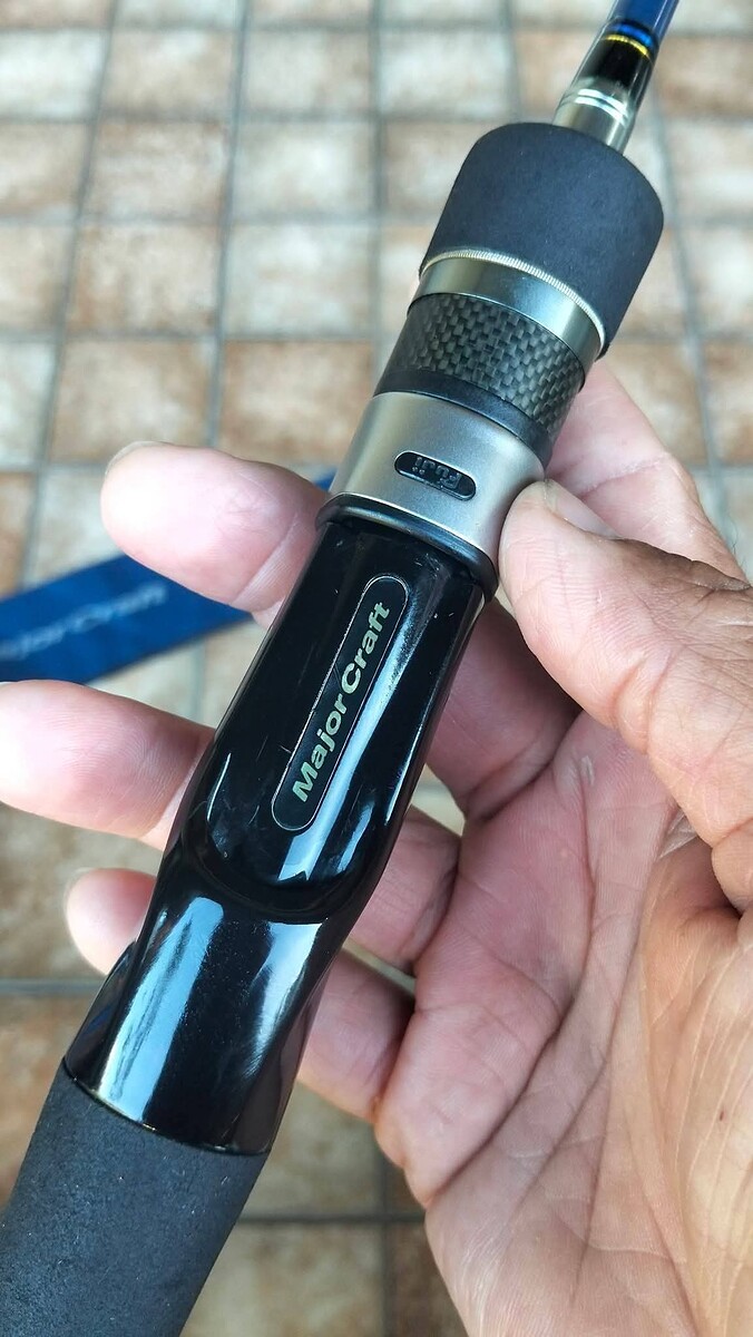 รีซีส FUJI